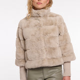 Feline jacket