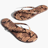 Studio Exotic | tkees