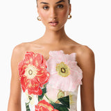 Solara midi dress