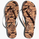 Studio Exotic | tkees