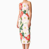 Solara midi dress