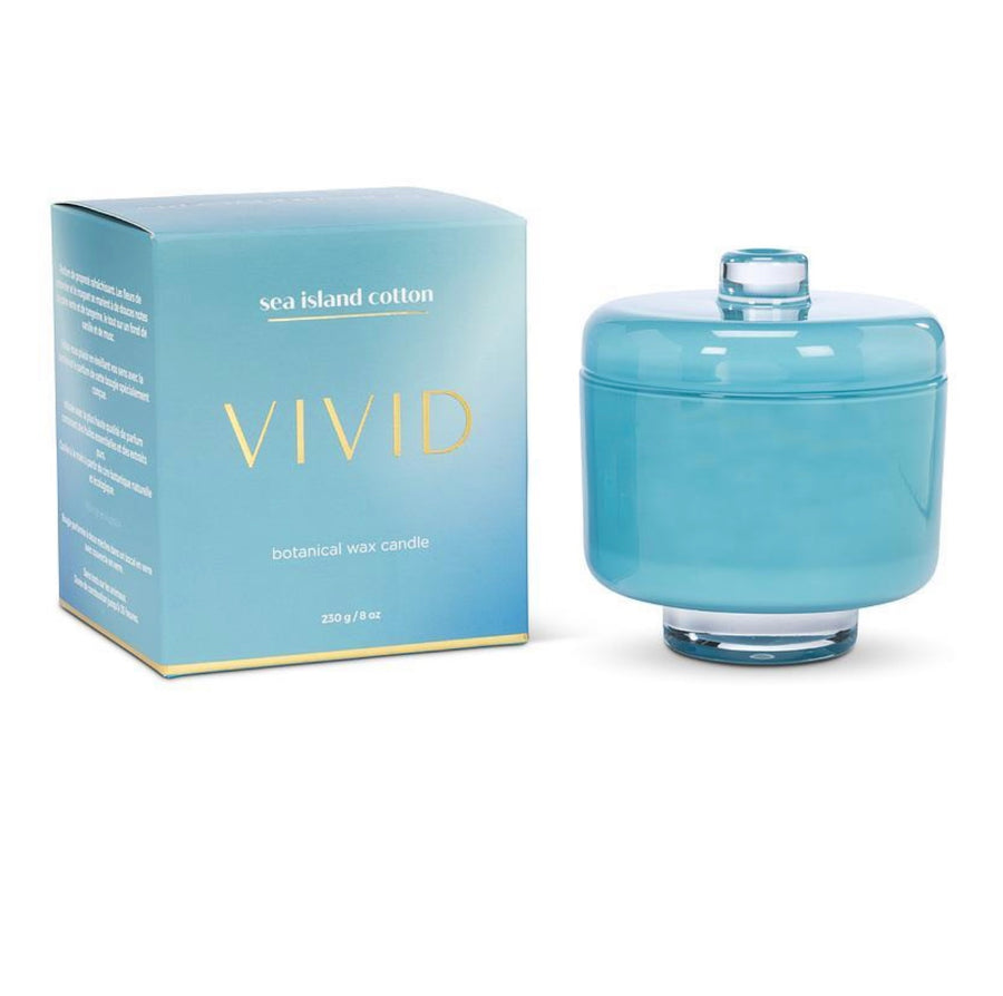 Vivid botanical wax candle | sea island cotton