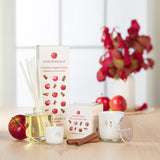 Reed diffuser | cinnamon apple spice