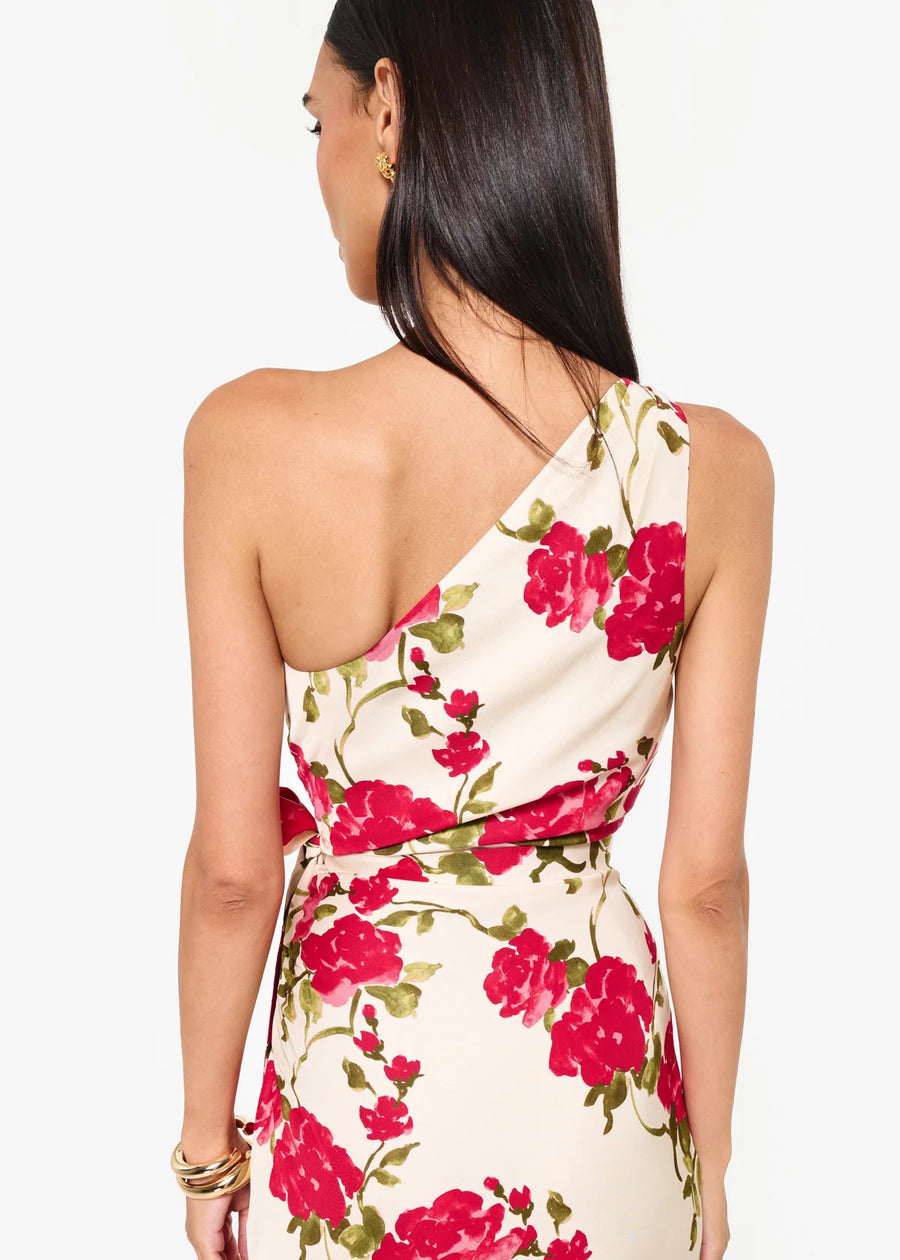 Nanu Dress