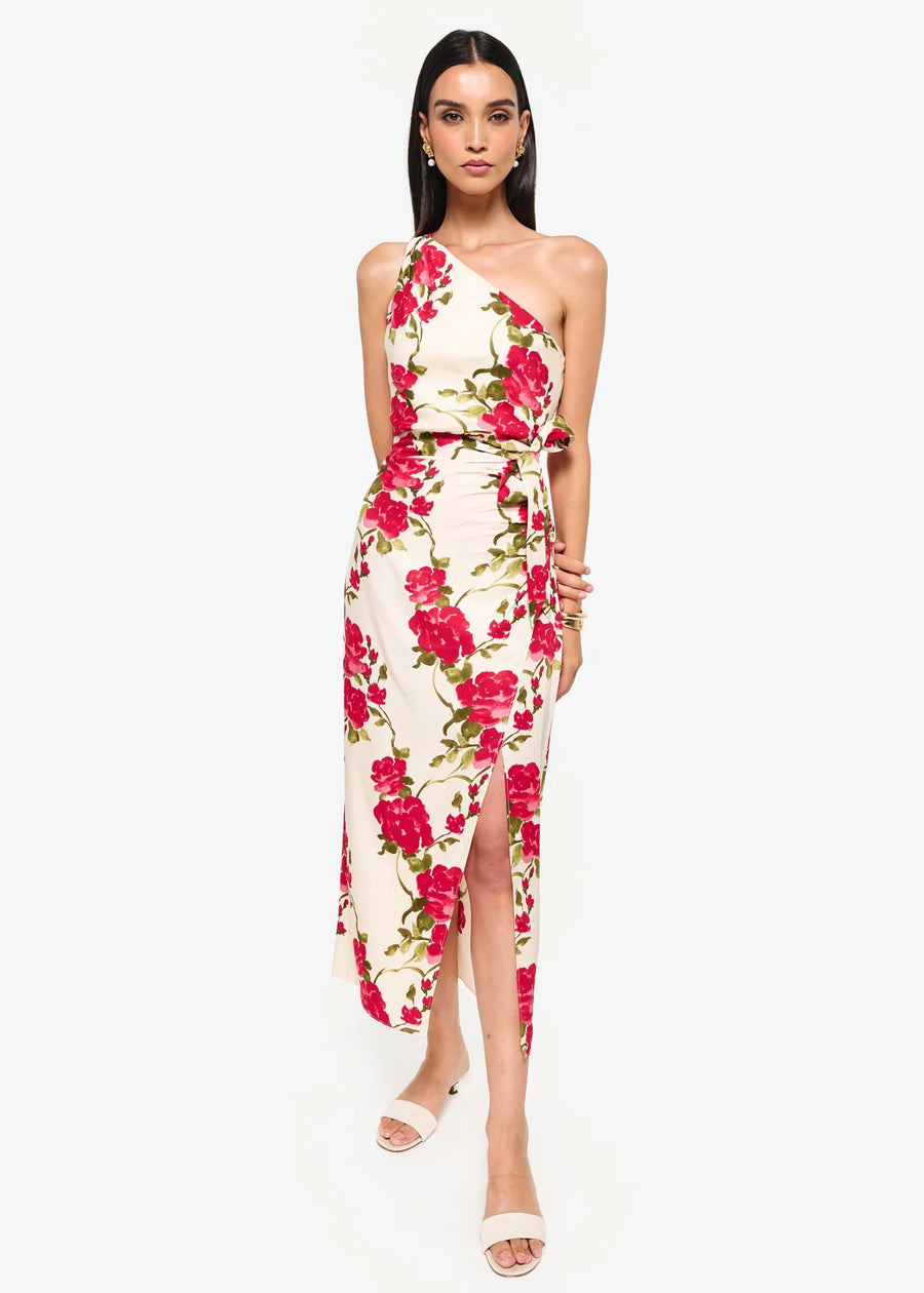 Nanu Dress