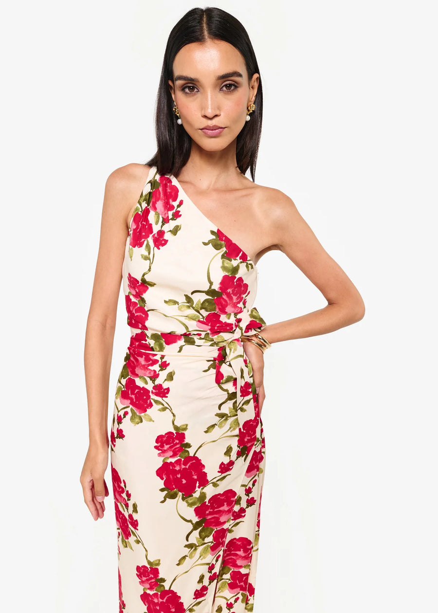 Nanu Dress