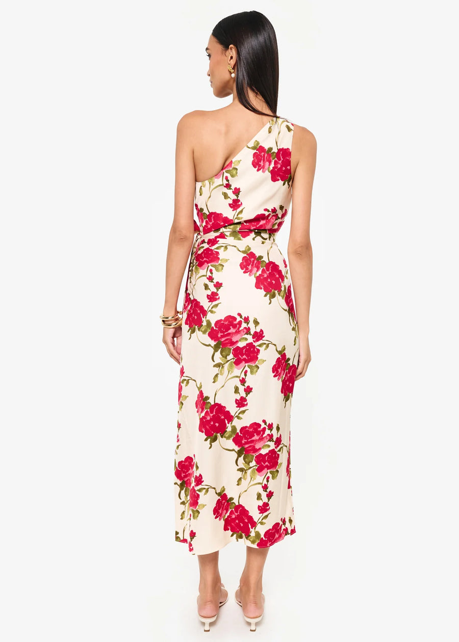 Nanu Dress